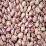 لوبیا چیتی صادراتی (حبوبات) درشت ارگانیک حاوی ویتامین B6 K