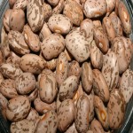 لوبیا چیتی طبع؛ گرم تولید آمریکا خاصیت تقویت استخوان