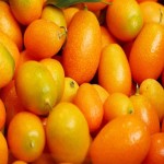 میوه پرتقال ریز (کامکوات) شیرین ملس حاوی روی آهن Niacin