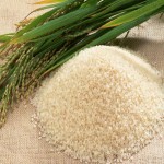 برنج فجر گرم؛ سفید کدر خوش پخت عطر کم (Fajr rice)