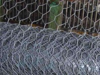 توری فلزی برای تخت؛ مفتول سیاه گالوانیزه (عادی حصیری هلندی) fencing