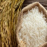 برنج هندی؛ ماشینی دانه یکدست خالص سفید (1 10 20) کیلویی