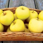 سیب زرد لبنانی؛ شیرین معطر پوست نازک حاوی Phenolic