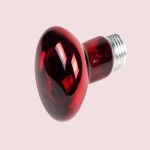 لامپ مادون قرمز برای جوجه؛ سم زدایی بهبود گردش خون (160 250) وات