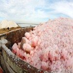 نمک دریایی اکسیر؛ کریستالی صنعتی طبیعی 2 کاربرد خوراکی گند زدایی Exir