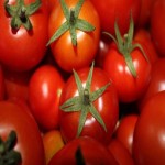گوجه فرنگی شقایق؛ خوش طعم (گیلاسی انگوری) درمان سرطان پروستات