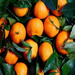 پایین ترین قیمت پرتقال کوهی معمولی و درجه یک