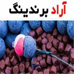 خوراک آبزیان خوزستان؛ پودر ماهی بهبود کیفیت گوشت شناوری مطلوب
