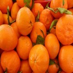 آموزش خرید نارنگی حاجی آباد صفر تا صد