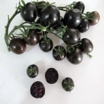 گوجه سیاه گیلاسی برای سالاد کد 41