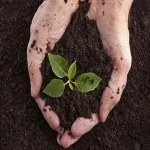 آموزش خرید کود ارگانیک اصلاح کننده خاک صفر تا صد