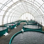 راهنمای خرید دستگاه تصفیه آب حوضچه پرورش ماهی با شرایط ویژه و قیمت استثنایی