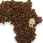 راهنمای خرید قهوه عربیکا کنیا با شرایط ویژه و قیمت استثنایی