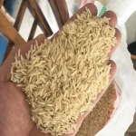 قیمت و خرید برنج دودی گلستان با مشخصات کامل