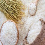 قیمت خرید برنج شیرودی اعلا + مشخصات، عمده ارزان