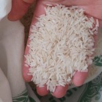 راهنمای خرید برنج هاشمی گرگان با شرایط ویژه و قیمت استثنایی