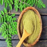 گیاه مورینگا برای لاغری؛ دمنوش ضد اشتها فیبر پروتئین Antioxidants
