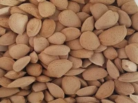 بادام درختی برای کلسترول؛ نمکی تقویت مو فیبر اسید چرب Almond