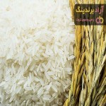 خرید برنج شمال هاشمی معطر + بهترین قیمت