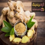 قیمت خرید  پودر زنجبیل + مزایا و معایب