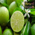 آشنایی با خواص لیمو عمانی سبز و ویتامین های موجود در آن