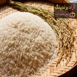 مناسب ترین قیمت برنج شمالی هاشمی در دی ۱۴۰۱