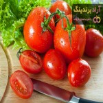 خرید گوجه فرنگی شیراز | فروش انواع گوجه فرنگی شیراز با قیمت مناسب