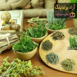 قیمت انواع سبزی خشک خانگی در بازار ایران