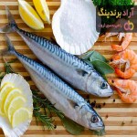 خرید ماهی شیر نیزه ای + قیمت عالی