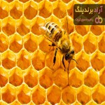 مرجع قیمت موم عسل + خرید ارزان