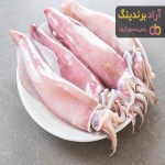 حکم گوشت ماهی مرکب در احکام اسلامی حلال است یا حرام