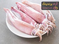 حکم گوشت ماهی مرکب در احکام اسلامی حلال است یا حرام