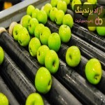 مرجع قیمت انواع سورتینگ میوه خرید ارزان