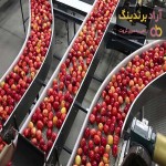 سورتینگ میوه صنعتی لیزری  + بهترین قیمت خرید