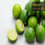 خرید انواع لیمو ترش شیرازی با سیر + قیمت