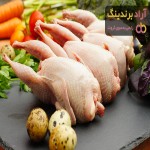 خواص گوشت بلدرچین در طب اسلامی + قیمت خرید