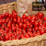 خواص گوجه فرنگی گیلاسی + قیمت خرید