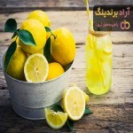 لیمو ترش چهار فصل گلخانه ای + بهترین قیمت خرید