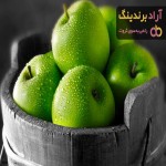 خرید و قیمت روز سیب مراغه درختی