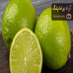 قیمت خرید لیمو ترش جیرفت + خواص، معایب و مزایا