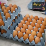لیست قیمت شانه تخمه مرغ ۱۴۰۱