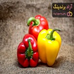 قیمت خرید فلفل دلمه نارنجی + خواص، معایب و مزایا