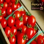 معرفی انواع گوجه گلخانه ای + قیمت خرید روز