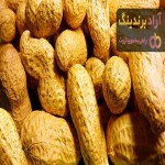 خرید بادام زمینی صادراتی ایران + قیمت عالی با کیفیت تضمینی