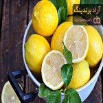 لیمو ترش میناب | فروشندگان قیمت مناسب لیمو ترش میناب