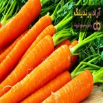 قیمت خرید هویج زرد ایرانی + خواص، معایب و مزایا
