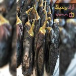 معرفی بادمجان خراب شده + بهترین قیمت خرید