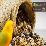خرید  تخمه آفتابگردان خام سنقری  + بهترین قیمت