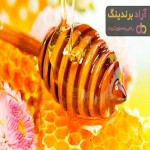 خرید و قیمت روز عسل کوهی کردستان