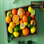 خرید و قیمت باغ مرکبات شمال ایران